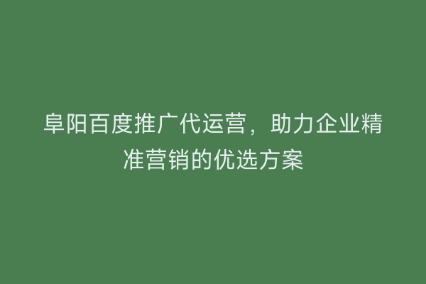 阜阳百度推广代运营,助力企业精准营销的优选方案