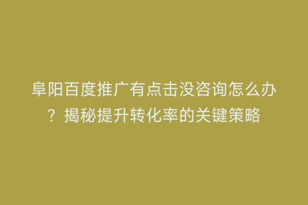 阜阳百度推广有点击没咨询怎么办?揭秘提升转化率的关键策略