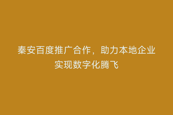 秦安百度推广合作,助力本地企业实现数字化腾飞