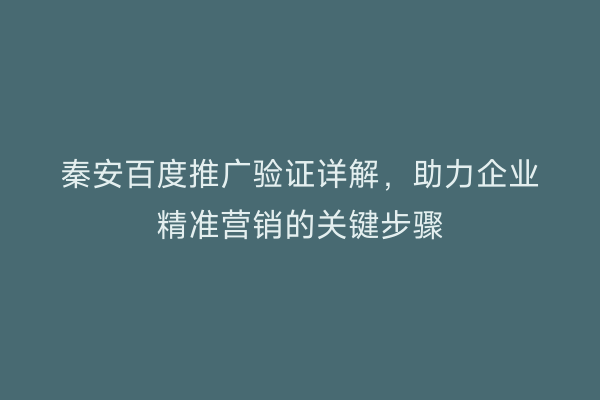 秦安百度推广验证详解,助力企业精准营销的关键步骤
