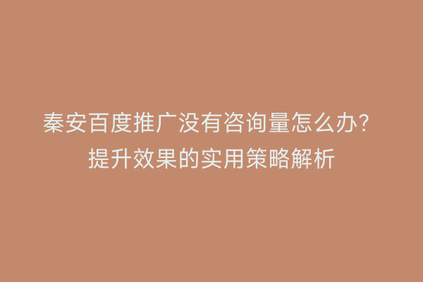 秦安百度推广没有咨询量怎么办?提升效果的实用策略解析