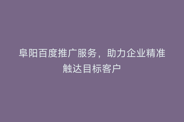 阜阳百度推广服务,助力企业精准触达目标客户