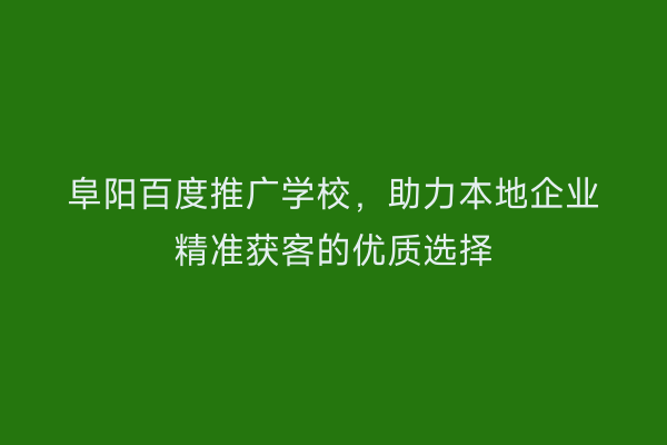 阜阳百度推广学校,助力本地企业精准获客的优质选择