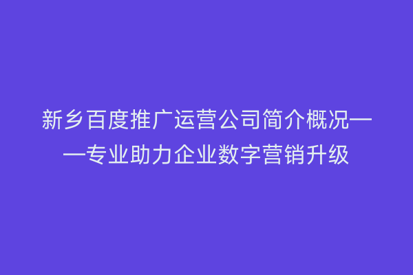 新乡百度推广运营公司简介概况——专业助力企业数字营销升级