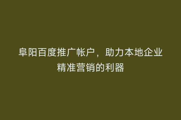 阜阳百度推广帐户,助力本地企业精准营销的利器