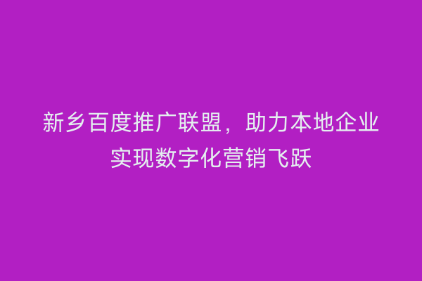 新乡百度推广联盟,助力本地企业实现数字化营销飞跃