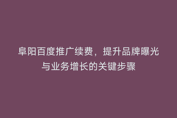 阜阳百度推广续费,提升品牌曝光与业务增长的关键步骤