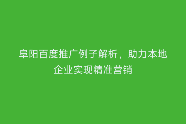 阜阳百度推广例子解析，助力本地企业实现精准营销