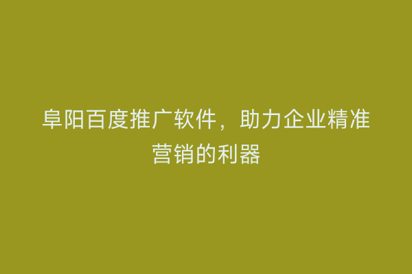 阜阳百度推广软件，助力企业精准营销的利器