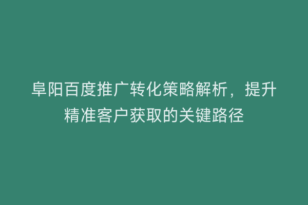 阜阳百度推广转化策略解析,提升精准客户获取的关键路径