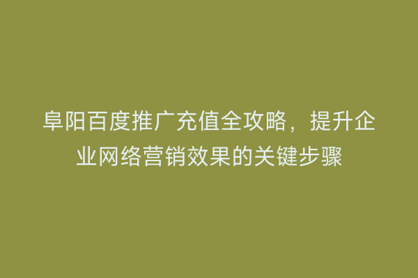 阜阳百度推广充值全攻略,提升企业网络营销效果的关键步骤