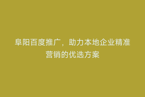 阜阳百度推广，助力本地企业精准营销的优选方案