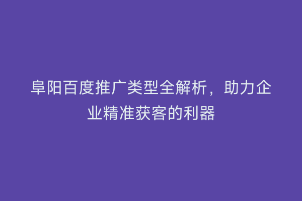 阜阳百度推广类型全解析，助力企业精准获客的利器