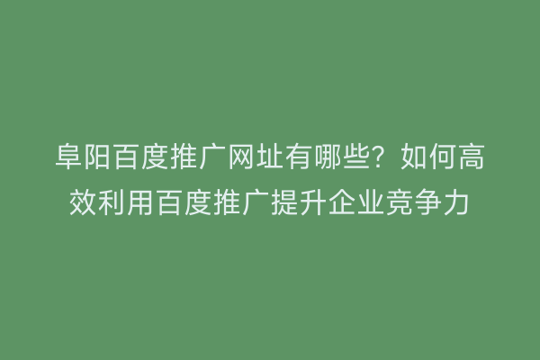 阜阳百度推广网址有哪些？如何高效利用百度推广提升企业竞争力