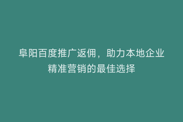 阜阳百度推广返佣,助力本地企业精准营销的最佳选择
