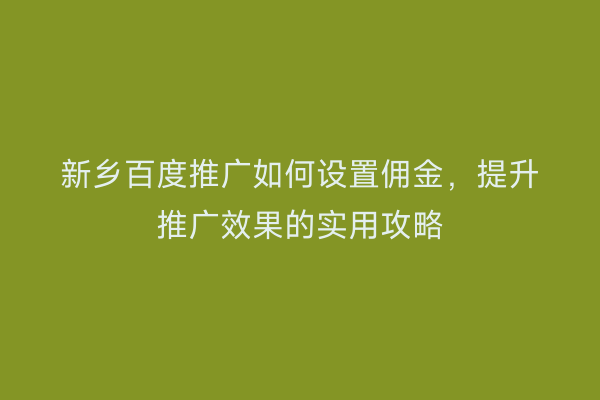 新乡百度推广如何设置佣金，提升推广效果的实用攻略