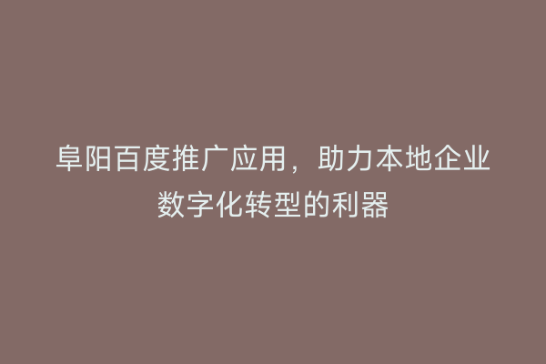 阜阳百度推广应用,助力本地企业数字化转型的利器