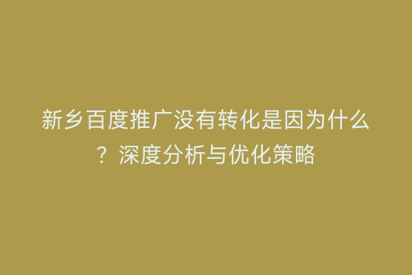新乡百度推广没有转化是因为什么？深度分析与优化策略