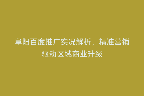 阜阳百度推广实况解析，精准营销驱动区域商业升级