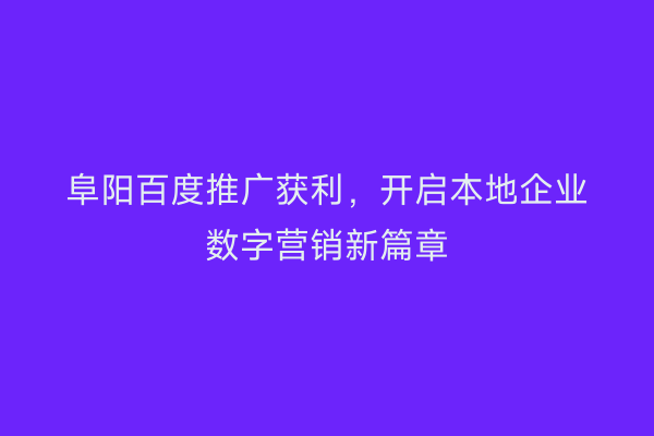 阜阳百度推广获利,开启本地企业数字营销新篇章
