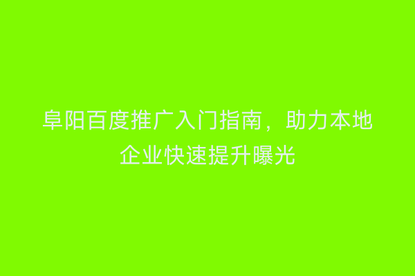 阜阳百度推广入门指南，助力本地企业快速提升曝光