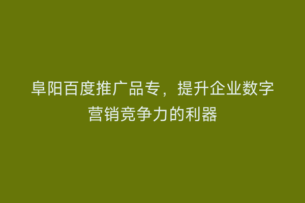 阜阳百度推广品专,提升企业数字营销竞争力的利器