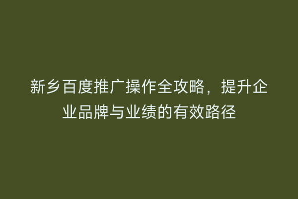 新乡百度推广操作全攻略,提升企业品牌与业绩的有效路径