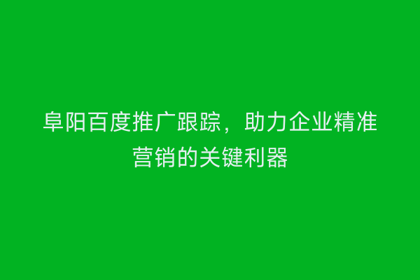 阜阳百度推广跟踪,助力企业精准营销的关键利器
