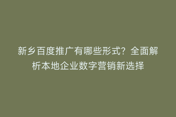 新乡百度推广有哪些形式?全面解析本地企业数字营销新选择