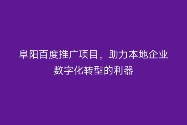 阜阳百度推广项目，助力本地企业数字化转型的利器