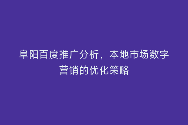 阜阳百度推广分析,本地市场数字营销的优化策略