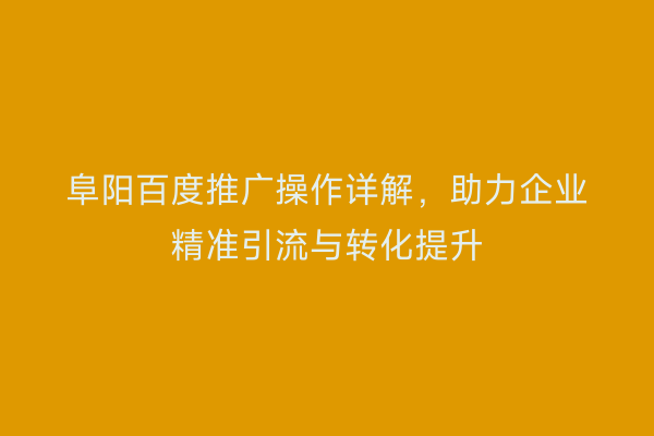 阜阳百度推广操作详解,助力企业精准引流与转化提升