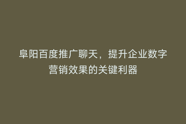 阜阳百度推广聊天，提升企业数字营销效果的关键利器