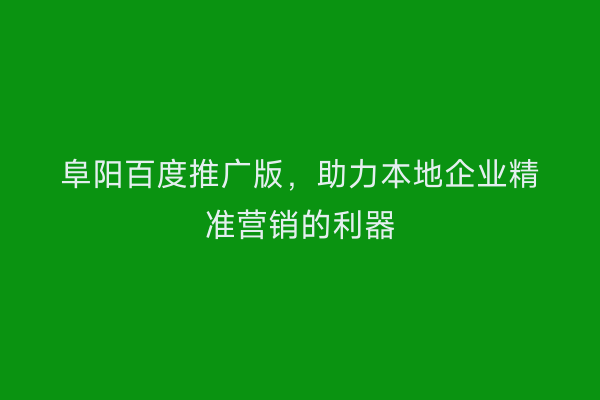 阜阳百度推广版，助力本地企业精准营销的利器