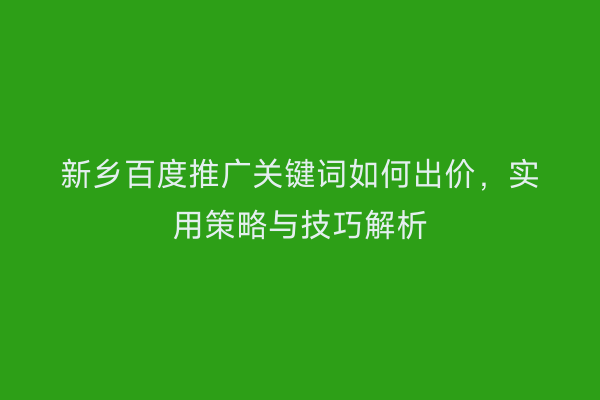 新乡百度推广关键词如何出价,实用策略与技巧解析