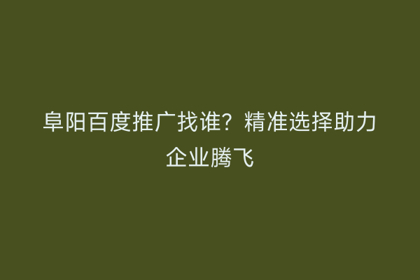 阜阳百度推广找谁?精准选择助力企业腾飞