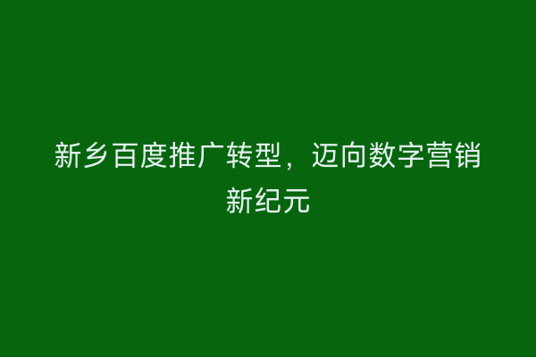 新乡百度推广转型,迈向数字营销新纪元