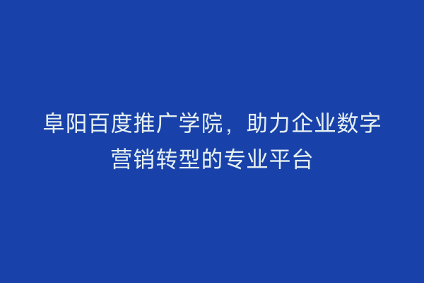 阜阳百度推广学院,助力企业数字营销转型的专业平台