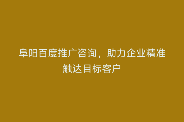 阜阳百度推广咨询,助力企业精准触达目标客户