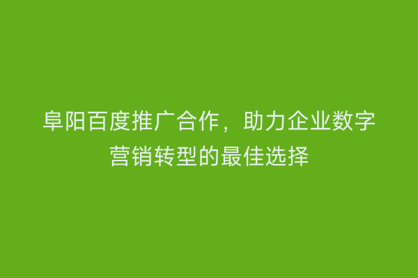阜阳百度推广合作,助力企业数字营销转型的最佳选择