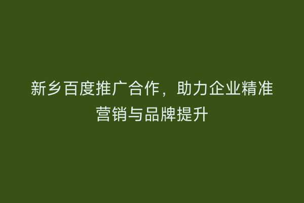 新乡百度推广合作,助力企业精准营销与品牌提升