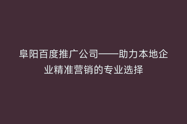 阜阳百度推广公司——助力本地企业精准营销的专业选择