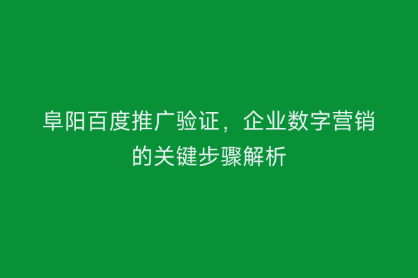 阜阳百度推广验证,企业数字营销的关键步骤解析