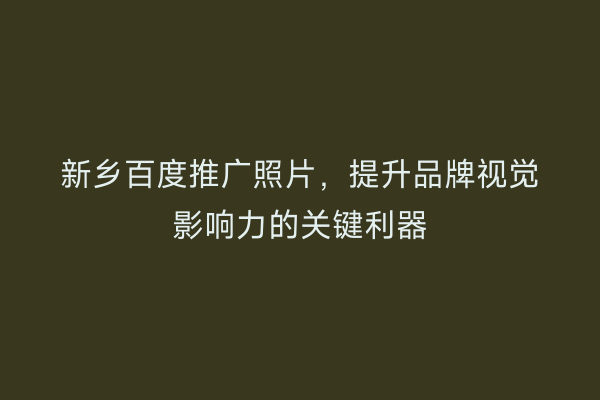 新乡百度推广照片,提升品牌视觉影响力的关键利器