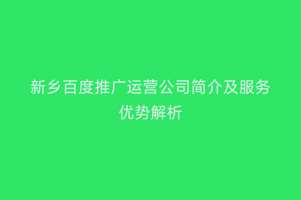 新乡百度推广运营公司简介及服务优势解析