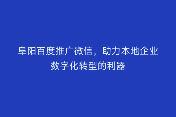 阜阳百度推广微信，助力本地企业数字化转型的利器