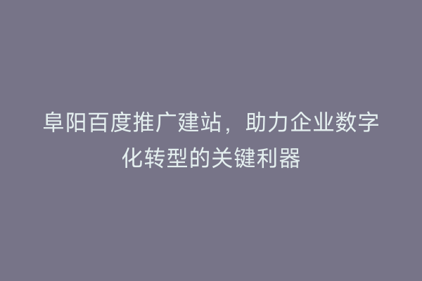 阜阳百度推广建站，助力企业数字化转型的关键利器