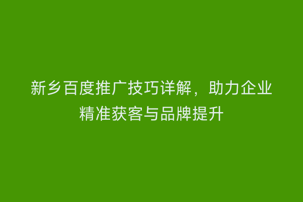 新乡百度推广技巧详解,助力企业精准获客与品牌提升