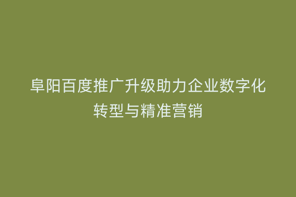 阜阳百度推广升级助力企业数字化转型与精准营销