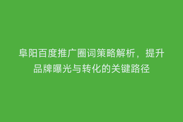 阜阳百度推广圈词策略解析,提升品牌曝光与转化的关键路径